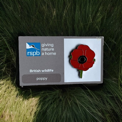 Rspb pin badge gnah - gnah,