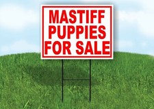 Mastiff PUPPIES FOR SALE RED