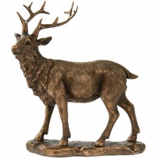 Reflections Bronze Stag