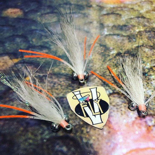 Fly size 6 or 8 - v,