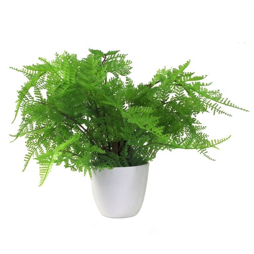 Artificial fern plant - artificial,