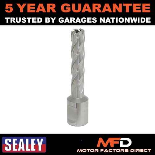 Sealey worksafe 12mm - worksafe�, hss