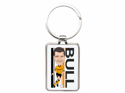 Steve bull wolverhampton - steve,