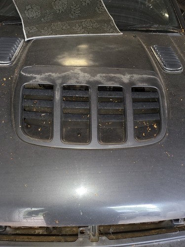 Nissan pulsar gtir - pulsar, bonnet