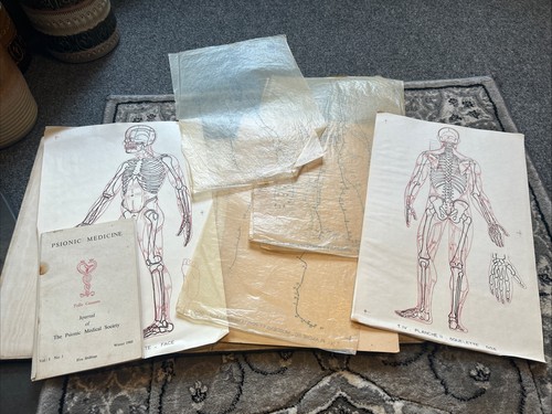 Antique anatomical prints and - antique,
