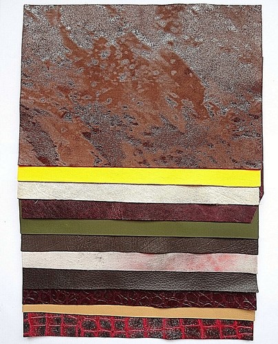 Leather hide pieces - leather, x