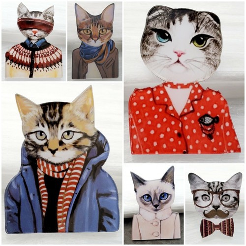 Novelty funky fancy cat pet - cat,