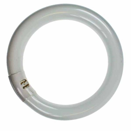 Circular fluorescent tube - fluorescent,