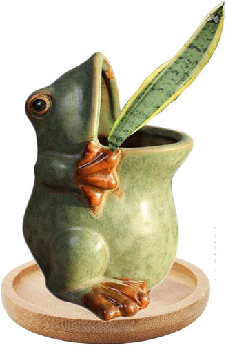 Ceramic succulent plant pot - succulent,