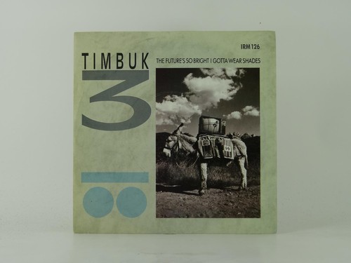 Timbuk3 the futre - timbuk3, so