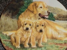 Lovely Franklin Mint Labrador Plate FAITHFULL COMPANIONS
