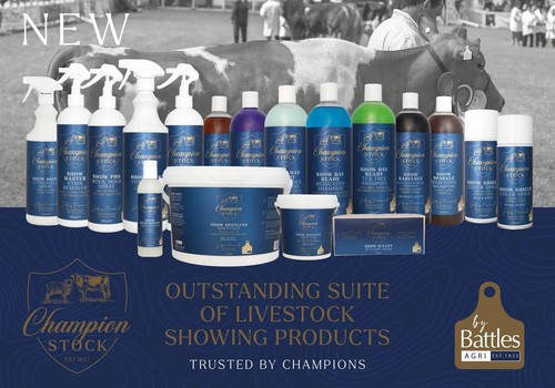 Champion stock livestock - stock,