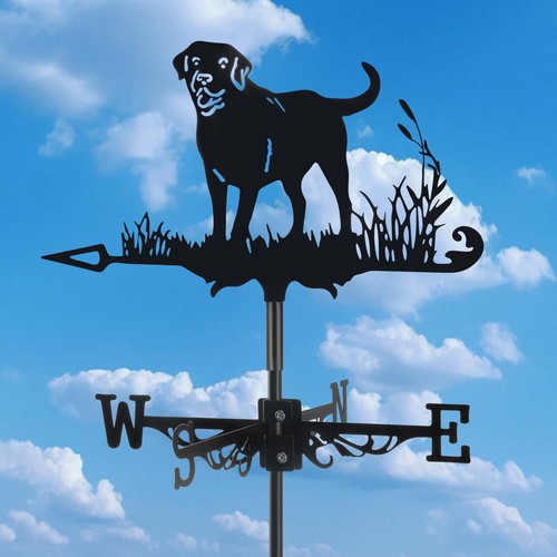 Dog metal weather - 3d,