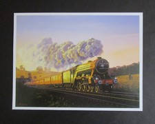 9.10" x 6.90"  MALCOLM ROOT