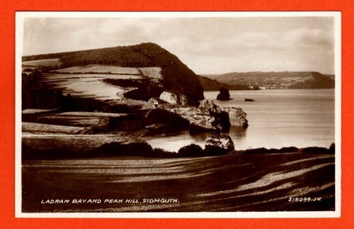 561004 postcard ladram - 561004,