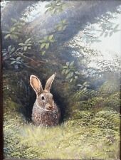 Mike Nance - Cornish wildlife