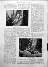 Old Kittiwakes R Lodge