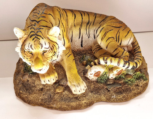 Stephen gayford cat - stephen, bengal