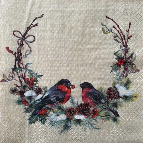 Luncheon paper napkins - 2,