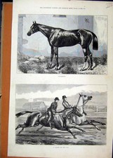Original Old Antique Print
