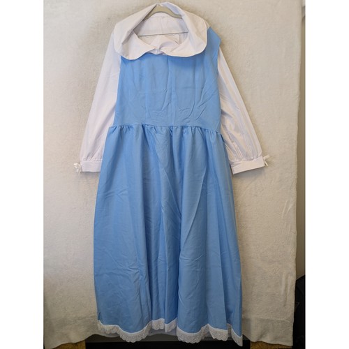Unbranded costume dress - costume,