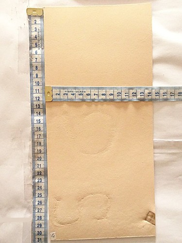 5mm thick natural veg tan - natural,