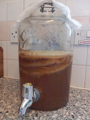 Organic 40g kombucha - organic,