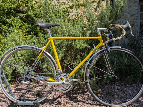 Raleigh carlton pro reynolds - carlton,
