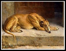 GREYHOUND SLEEPING DOG ART
