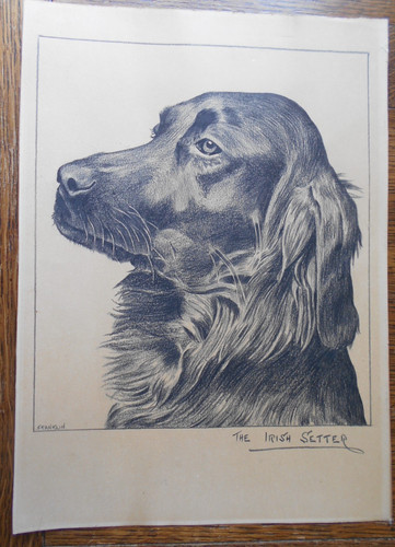 Vintage drawing the - vintage,