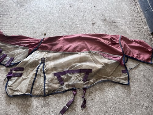 Premier equine stay - premier, dry