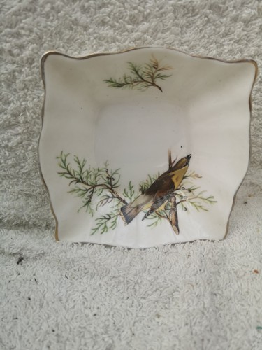 Royal tuscan audubon - royal,