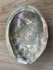 Natural Abalone Paua Shell