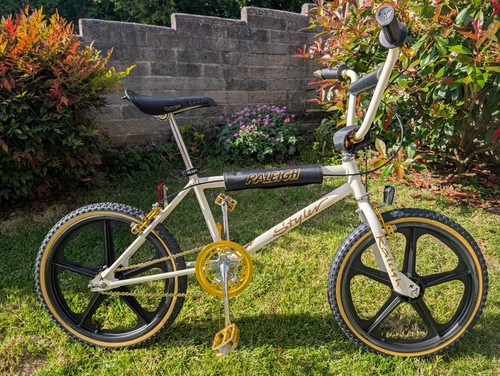 Raleigh styler burner series - series,