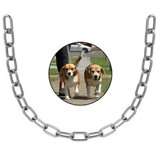 Stainless Steel Link Chain