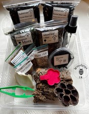 Isopod Millipede invert Box