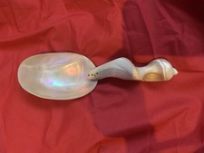 Large Vintage/antique Conch