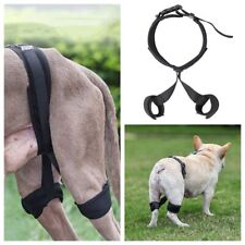 Dog Hip Brace Hip Joint Support for Back Leg Flexible Dog Leg Brace Auxiliary