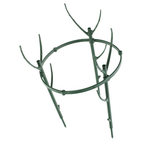 Orchid climbing racks - orchid,
