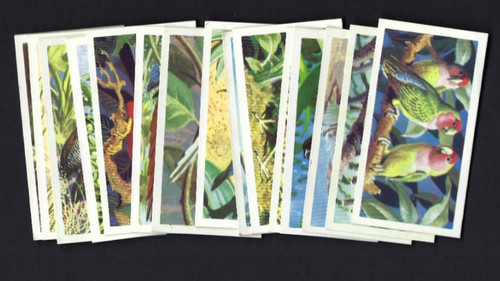 Brooke bond tropical birds - -,