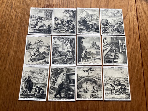 Players large cards - players-,