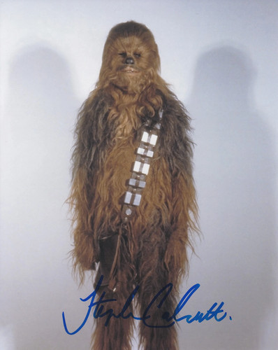 Stephen calcutt 10x8 signed - stephen,