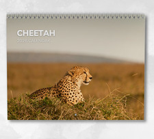 Cheetah Calendar 2026: Monthly