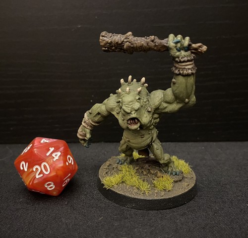 Thornback troll dungeons and - dungeons,