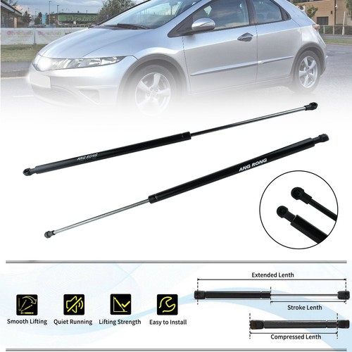 Tailgate gas struts - 2x,