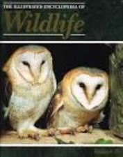 Orbis: The Illustrated