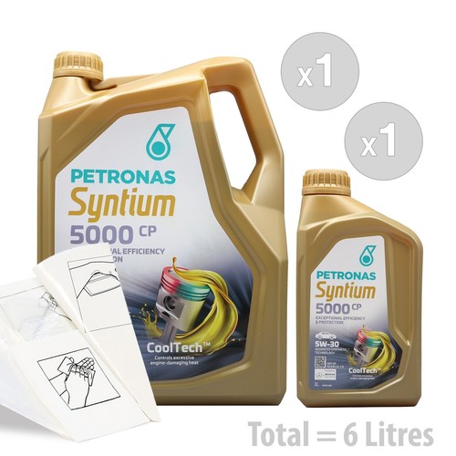 Car engine oil - oil, service