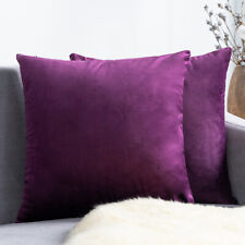 Plush Velvet Cushion Cover
