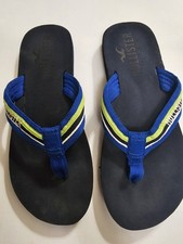 Hollister HCO Mens Blue Flip