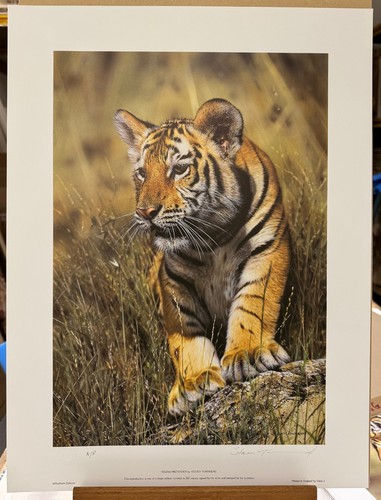 Steven townsend young - -,